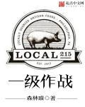 一级战备是什么