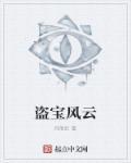 盗宝联盟 百科