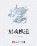 星魂道具箱打完多少钱
