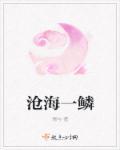 沧海一鳞打一数字