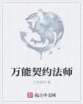 契约法师全本