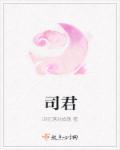 司君之过而书之