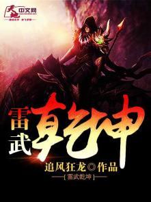 雷武主角武器介绍