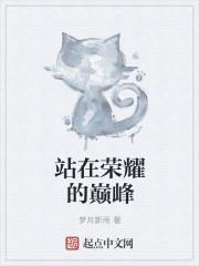 站在巅峰的人