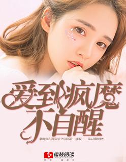 爱到疯癫作者皜皜