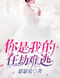 你是我的在劫难逃短剧完整版