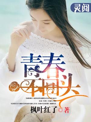 青春不回头第二部