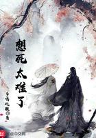 想死太难了境界问题