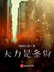 大力哥的全名bilibili