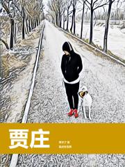 贾庄古镇景点解说