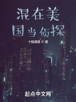 混在美国当侦探的