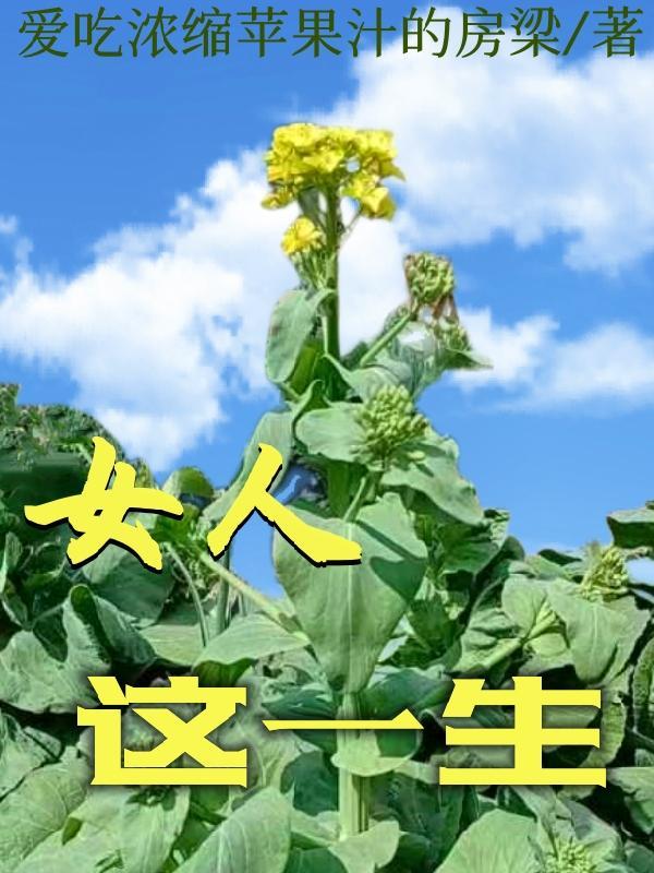 女人这一生的感慨句子
