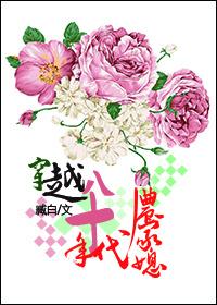 穿越八十年代农妇晋江