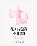 爱你不言由衷