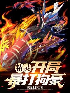 宝可梦之从火箭队开始