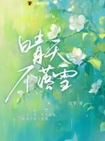 晴天不赶路下一句