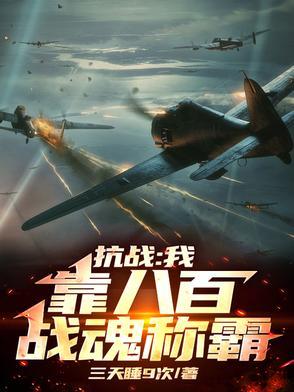 抗日八百系统
