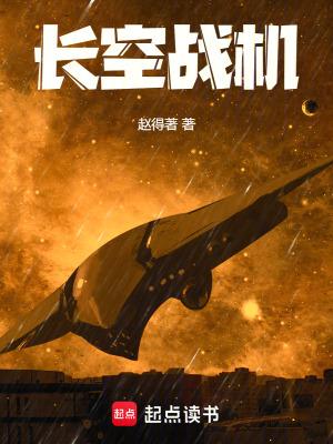 长空战机全本免费阅读