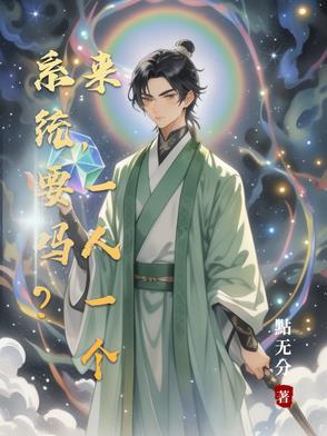 一个系统要多少钱