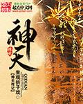 天神传完整版