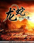 龙蛇演义百度百科