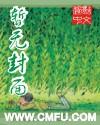 电影华丽