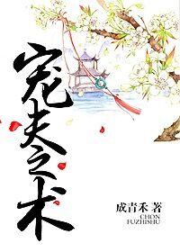 宠夫完结